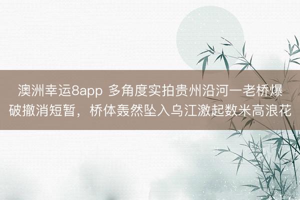 澳洲幸运8app 多角度实拍贵州沿河一老桥爆破撤消短暂,桥体轰然坠入乌江激起数米高浪花
