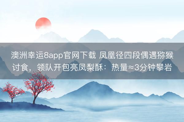澳洲幸运8app官网下载 凤凰径四段偶遇猕猴讨食，领队开包亮凤梨酥：热量≈3分钟攀岩
