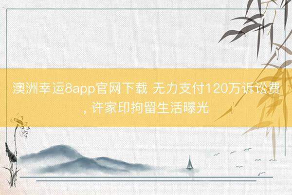 澳洲幸运8app官网下载 无力支付120万诉讼费, 许家印拘留生活曝光