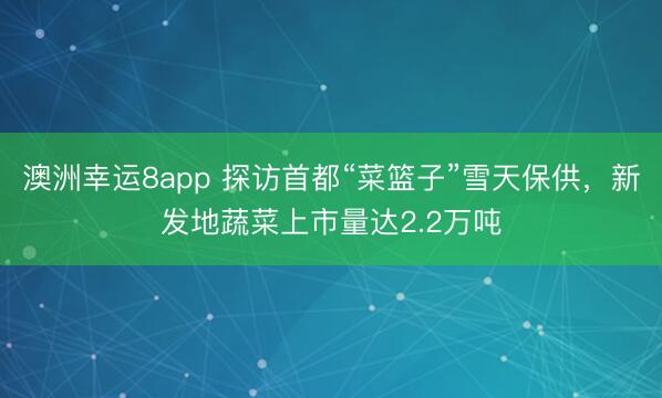 澳洲幸运8app 探访首都“菜篮子”雪天保供,新发地蔬菜上市量达2.2万吨