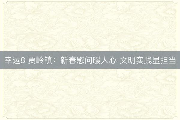 幸运8 贾岭镇:新春慰问暖人心 文明实践显担当
