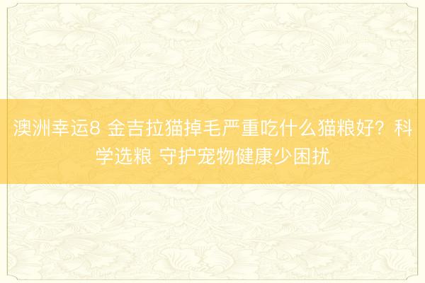澳洲幸运8 金吉拉猫掉毛严重吃什么猫粮好?科学选粮 守护宠物健康少困扰