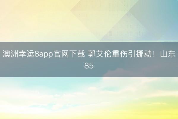 澳洲幸运8app官网下载 郭艾伦重伤引挪动！山东85