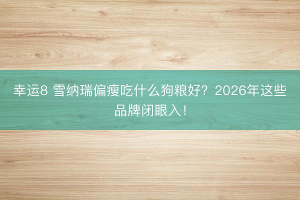 幸运8 雪纳瑞偏瘦吃什么狗粮好？2026年这些品牌闭眼入！