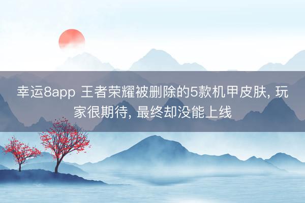 幸运8app 王者荣耀被删除的5款机甲皮肤， 玩家很期待， 最终却没能上线