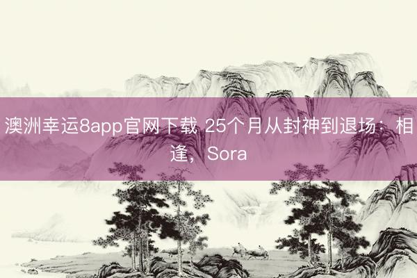 澳洲幸运8app官网下载 25个月从封神到退场：相逢，Sora