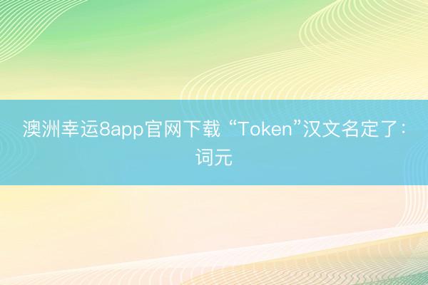 澳洲幸运8app官网下载 “Token”汉文名定了：词元