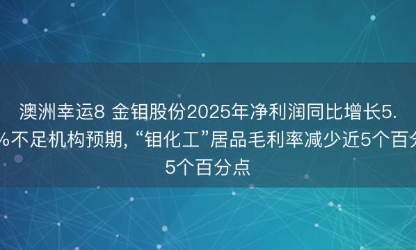 澳洲幸运8 金钼股份2025年净利润同比增长5.77%不足机构预期， “钼化工”居品毛利率减少近5个百分点