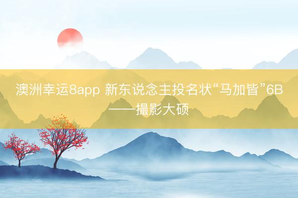 澳洲幸运8app 新东说念主投名状“马加皆”6B——撮影大硕