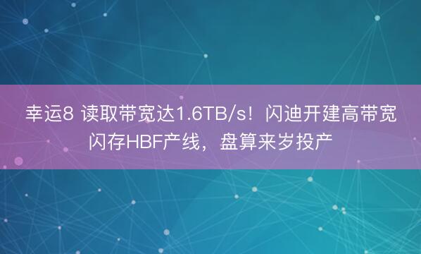 幸运8 读取带宽达1.6TB/s!闪迪开建高带宽闪存HBF产线,盘算来岁投产
