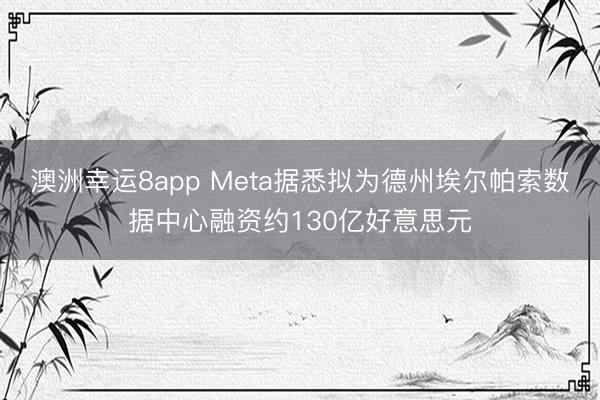 澳洲幸运8app Meta据悉拟为德州埃尔帕索数据中心融资约130亿好意思元